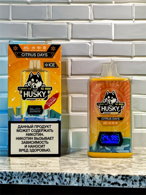 Husky Cyber 2.0 18000 затяжек 1