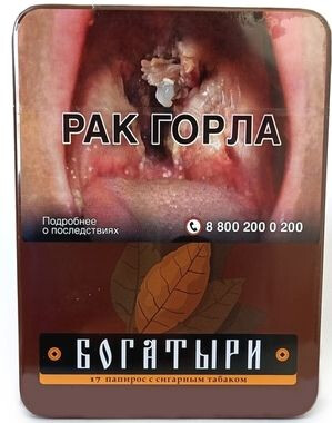 ЭДО Папиросы БОГАТЫРИ с сигарным табаком, 17шт./портсигар 1